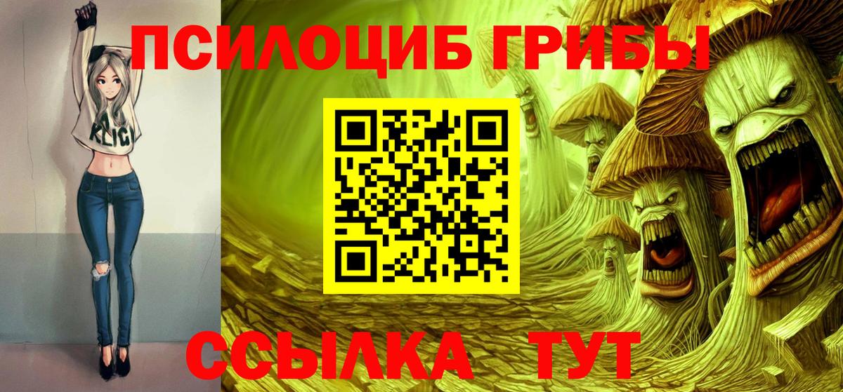 Псилоцибиновые грибы Psilocybine cubensis Сорочинск