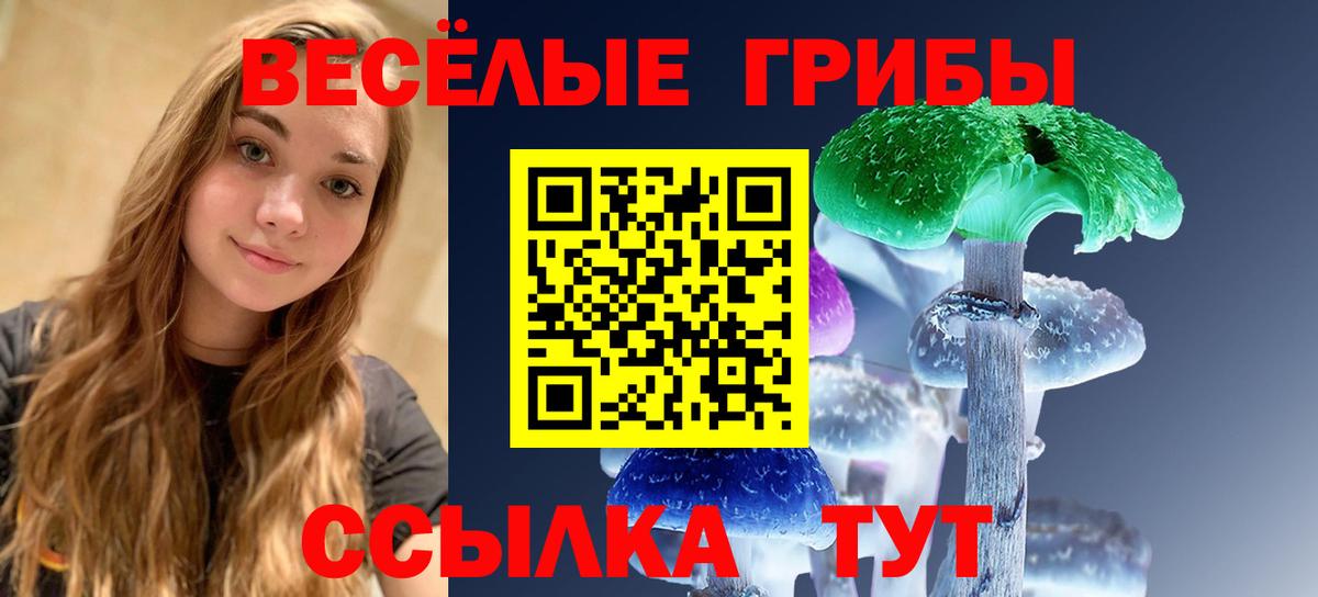 Сорочинск  Галлюциногенные грибы GOLDEN TEACHER  Вход с VPN 